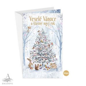 ARGUS Vánoční přání s kapsou na peníze 11-6514c