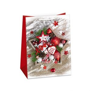 ARGUS Dárková papírová taška T5 (23 x 32 cm) 08530459