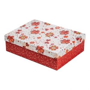 ARGUS Dárková krabice 21295194