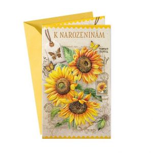 ARGUS Přání k narozeninám 15-6575c