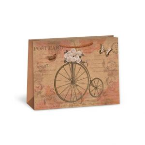 ARGUS Dárková papírová taška T4N (24.3 x 18.3 cm) 07440139