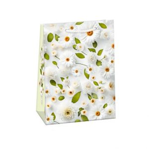 ARGUS Dárková papírová taška T5 (23 x 32 cm) 07570793