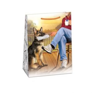 ARGUS Dárková papírová taška T5 (23 x 32 cm) 07570798