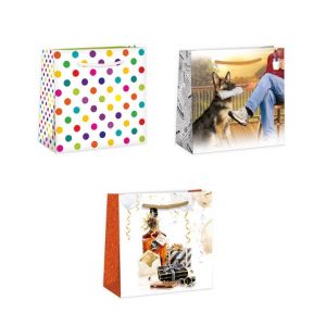 ARGUS Dárková taška mix. 07250010