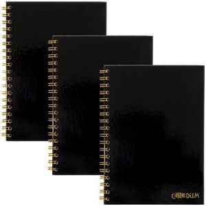 Spirálový sešit "Carpe Diem", černá, B5, linkovaný, 80 listů, FSC, PUKKA BAD 9375-CD