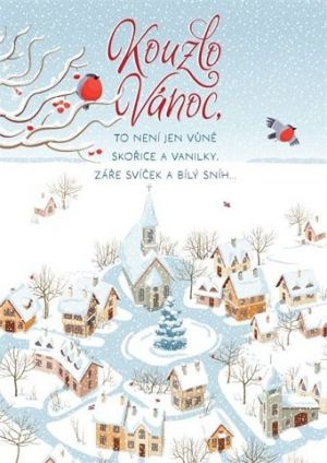 ALBI Zasněžené náměstí