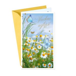 ARGUS Přání k narozeninám nebo k svátku 55-605c