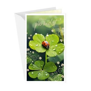 ARGUS Přání k narozeninám nebo k svátku 55-608c