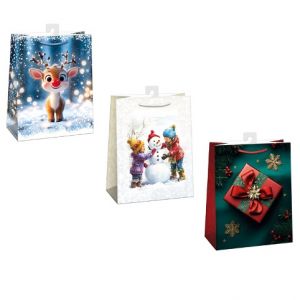 ARGUS Dárková papírová taška T8 (29 x 38 cm) mix 12 ks 08830005h