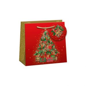 ARGUS Dárková papírová taška T2L (18 x 18 cm) 08290169