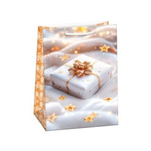 ARGUS Dárková papírová taška (23 x 32 cm) 08530467