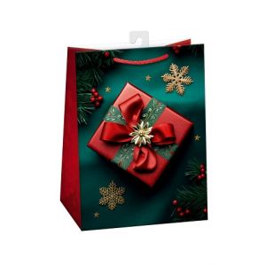 ARGUS Dárková papírová taška (23 x 32 cm) 08530469h