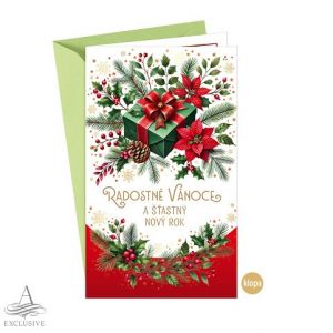 ARGUS Vánoční přání s kapsou na peníze 11-6565c