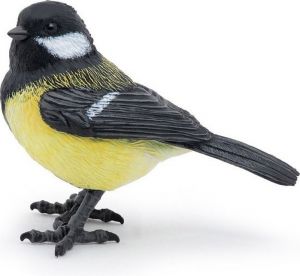 PAPO Sýkorka evropská