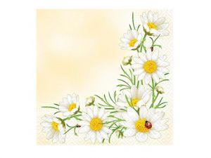 Ubrousek P 33x33 celorok TL315000