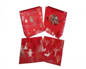 Dárková taška papírová 39cm/30cm/12cm