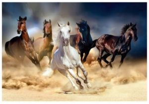 Diamantové malování 40x30cm, Stádo koní<br />