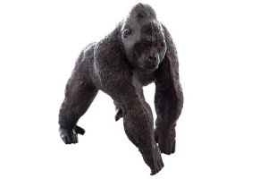 Gorila