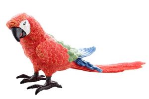 Papoušek červený