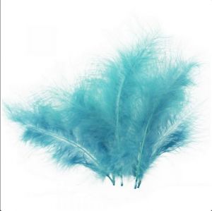 Peří tyrkysové 5ks cca 16cm