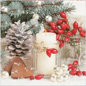 Ubrousky MAKI Watercolour Poinsettia Frame