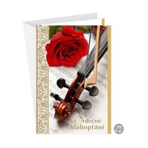 ARGUS Přání k narozeninám, ke svátku hudební 75-8024c
