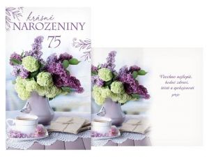 Přání k narozeninám 75 M11-609 T