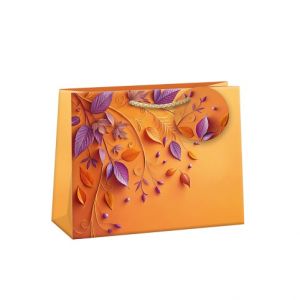 ARGUS Dárková papírová taška (30 x 23 cm) 07670810