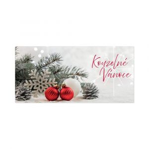 ALBI Vánoční kapsa na peníze - Kouzelné Vánoce